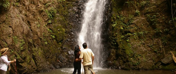 Santuario Ecologico Ecological Sanctuary Monteverde Santa Elena Rain Forest Forêt de Nuages Cascade
