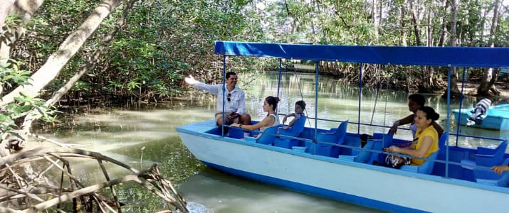 Williams-mangrove-tours-bateau