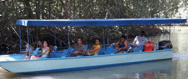 Williams-mangrove-tours-2bateau