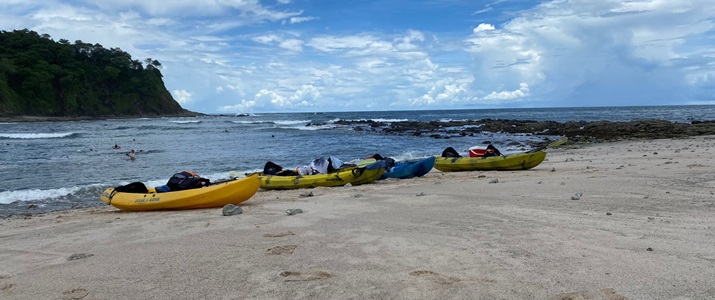 Kayaks alignés sur une plage