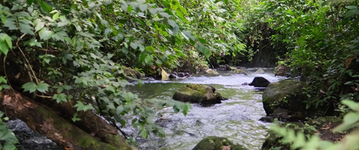 rivière, naturelle, se baigner, profiter