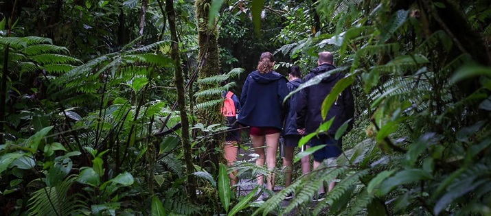 randonnée guidée dans le Parc Tenorio