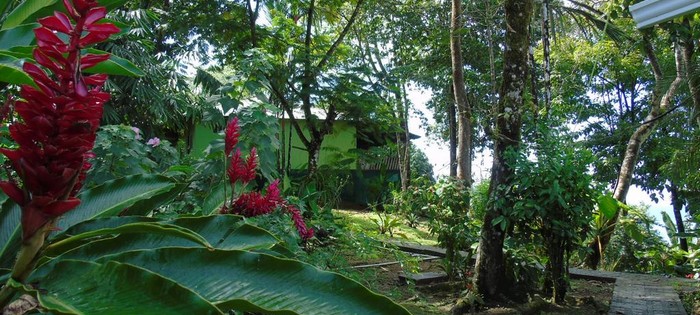 JADE MAR CABINS, COSTA RICA/DRAKE BAY: 185 fotos, comparação de