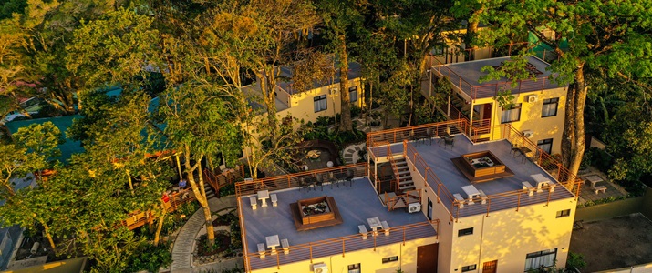 Rooftop, détente, repos, nature, bâtiment