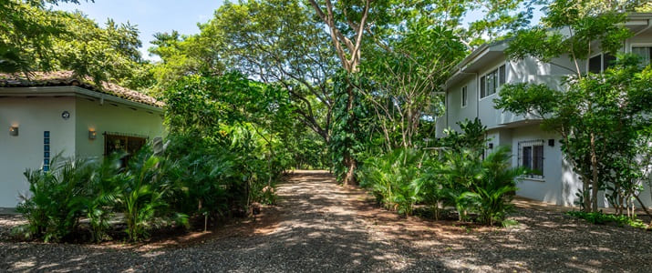 Nature, arbre, vert, verdure, entrée, maisons