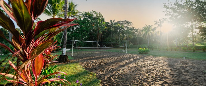 sable, plage, beach volley, soleil, chaleur, sport