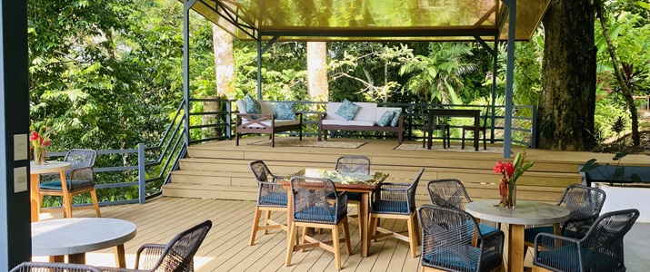 terrasse, bois, chaise, table, manger, détente, extérieur, air