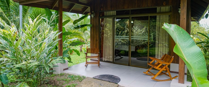 nature, vert, terrasse, extérieur