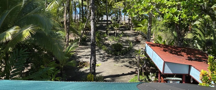 plage, vue, sable, palmier, soleil