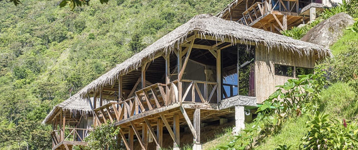 extérieur, bois, cabane, nature, naturel, apaisant