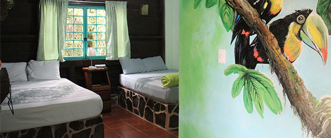 Cecropia Eco Lodge - Chambre