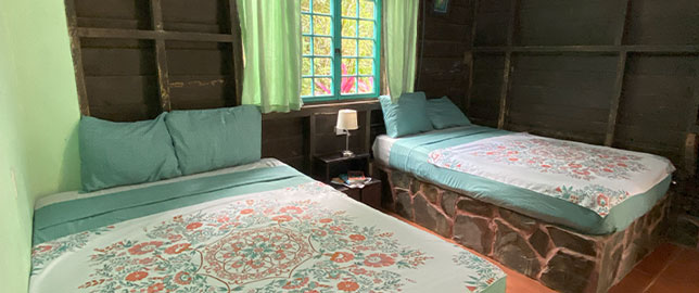 Cecropia Eco Lodge - Chambre