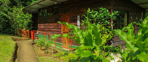 Cecropia Eco Lodge - Cabane