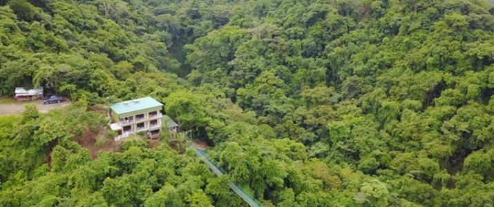 aérien, vue aérienne, nature, pont suspendu, hôtel